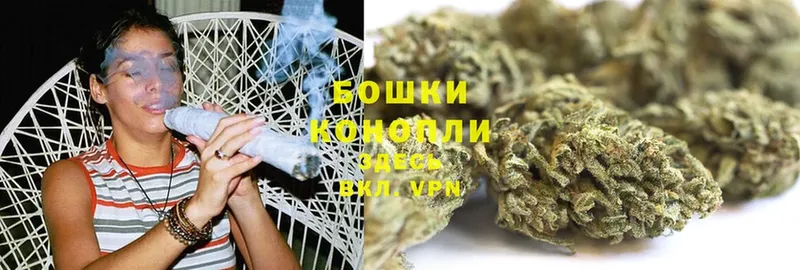 Канабис OG Kush  Каргополь 